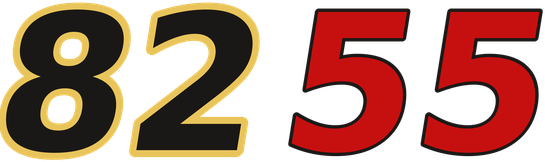 8255 logo